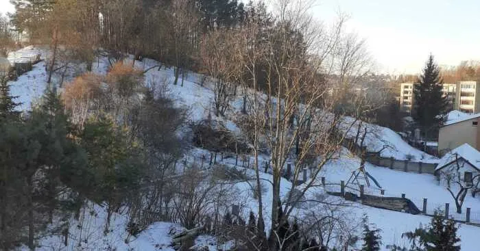 Hey Pandas, Post A Picture Of Your 2022 Snow Day (Closed)