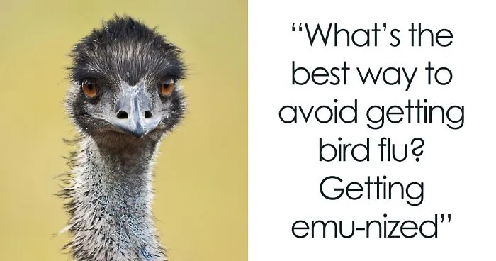 160 Bird Puns That Are Positively Owl-some
