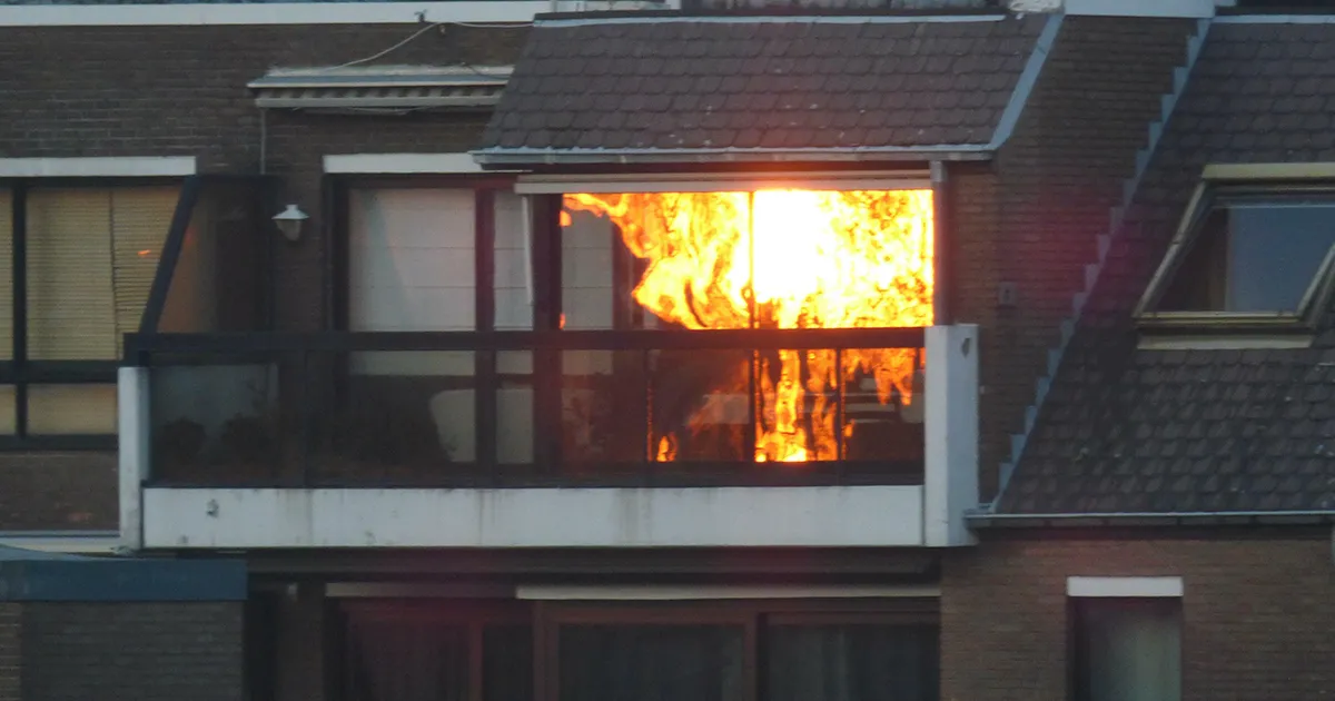 40 Reflejos tan confusos que podrían trastocarte la cabeza (nuevas fotos)