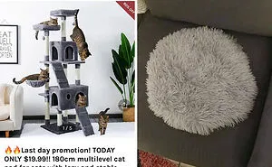 50 Times People Ordered Things Online But Received Something So Awful, They Just Had To Share (New Pics)