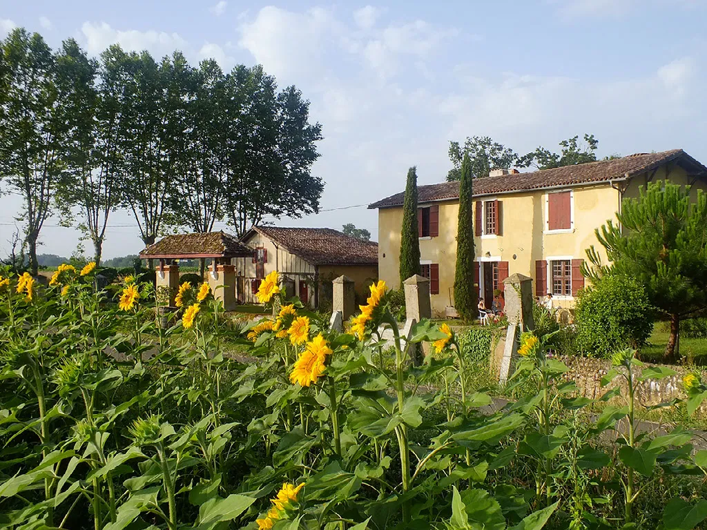 I Miss My Countryside Retreat