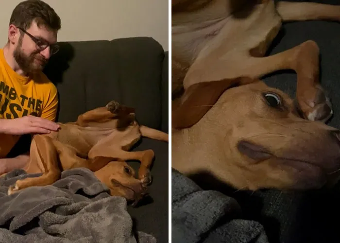 Se deslizó por el brazo del sofá y se quedó así