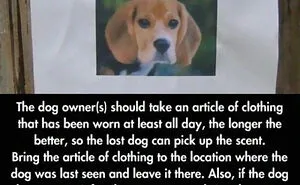 This Online Group Collects Random Advice On “How To Do Anything And Everything Yourself" And Here's 40 Of The Best Ones