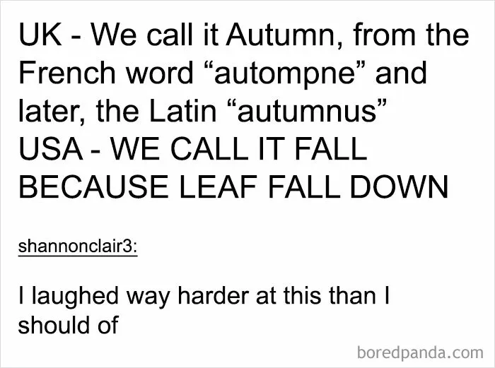 50 Times People Spotted Something On Tumblr That Was Worth Sharing With The Whole World