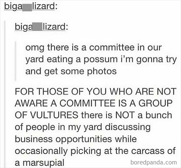 50 Times People Spotted Something On Tumblr That Was Worth Sharing With The Whole World