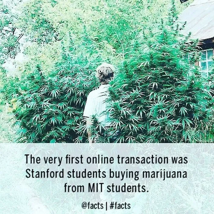 50 Of The Most Interesting Facts About Our World, As Shared By This Instagram Account