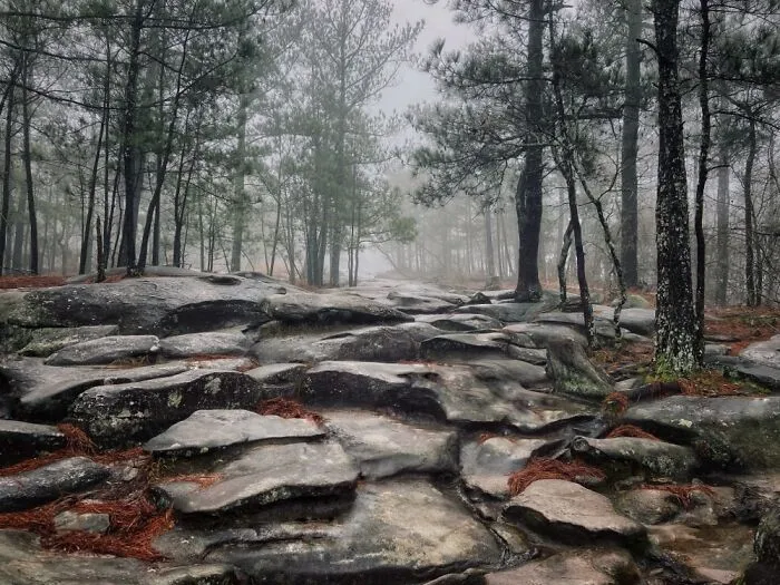 Took This On A Hike Up Stone Mountain On New Years