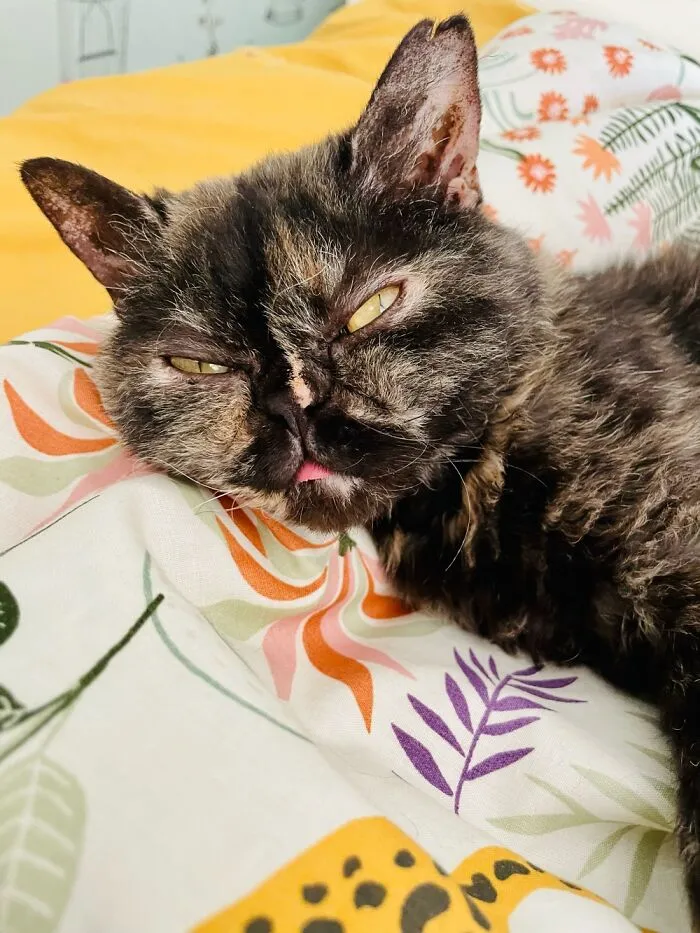 Just Woken Up!