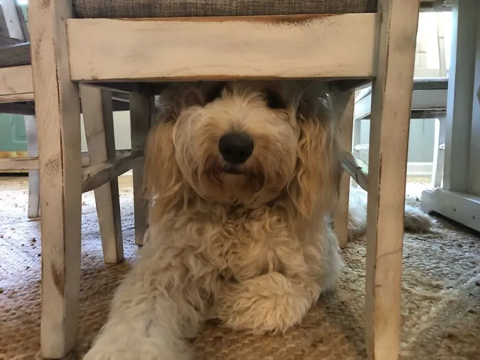 She Likes Hiding