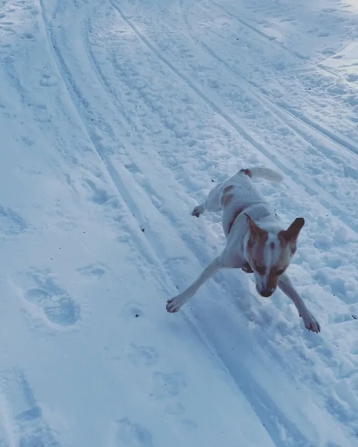 First Time In The Snow. Freak Out!