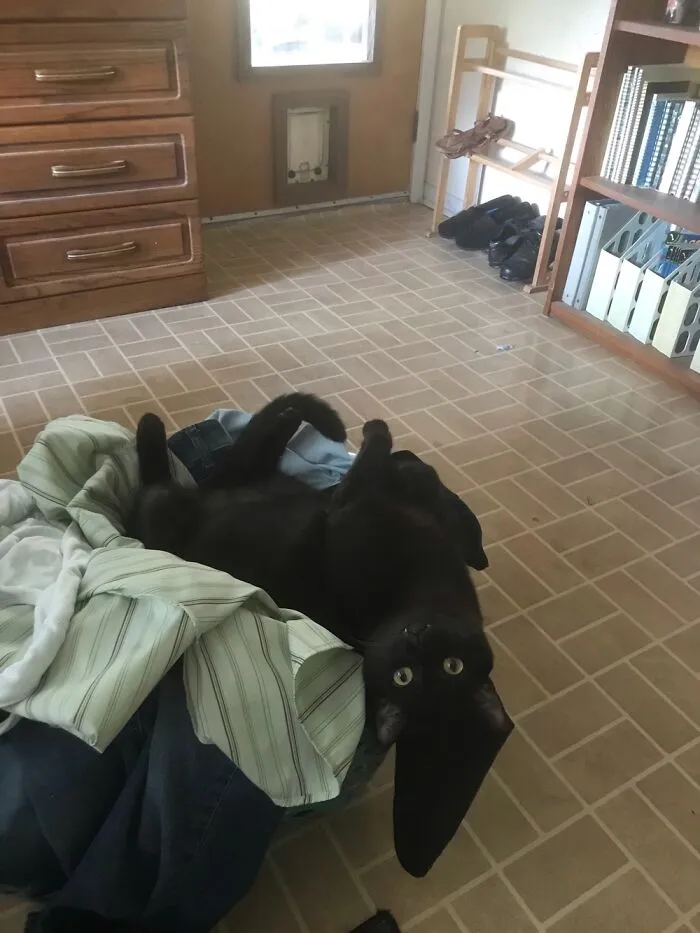 What Clean Laundry?