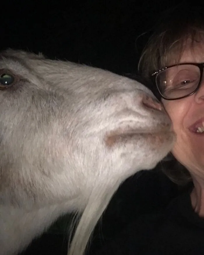 Steeling A Kiss!