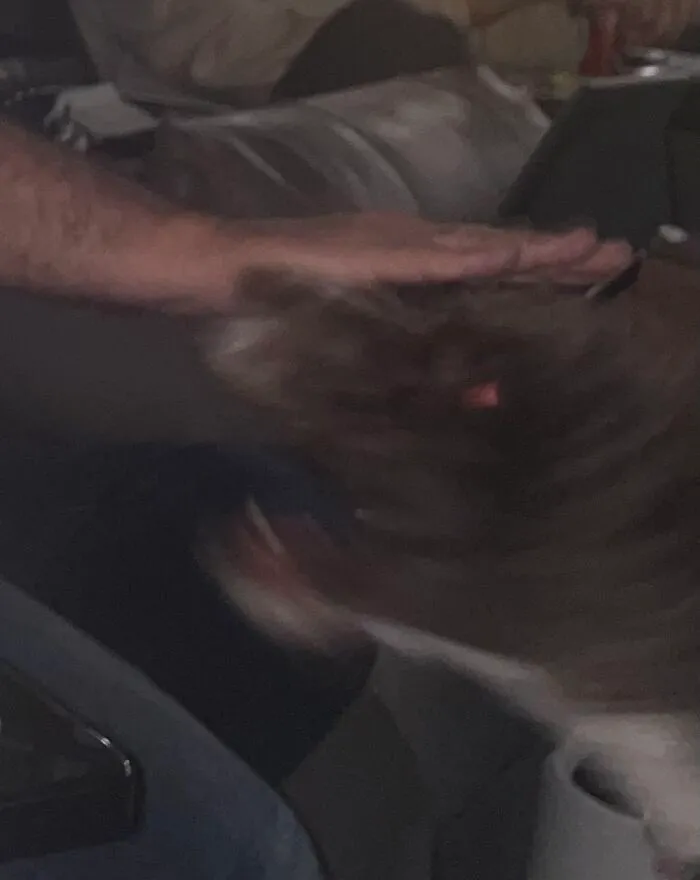 I Also Have One Of Psycopath Doggo Being Demon Doggo