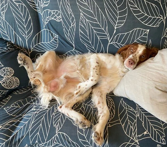 It’s A Whole Mood Going On There…