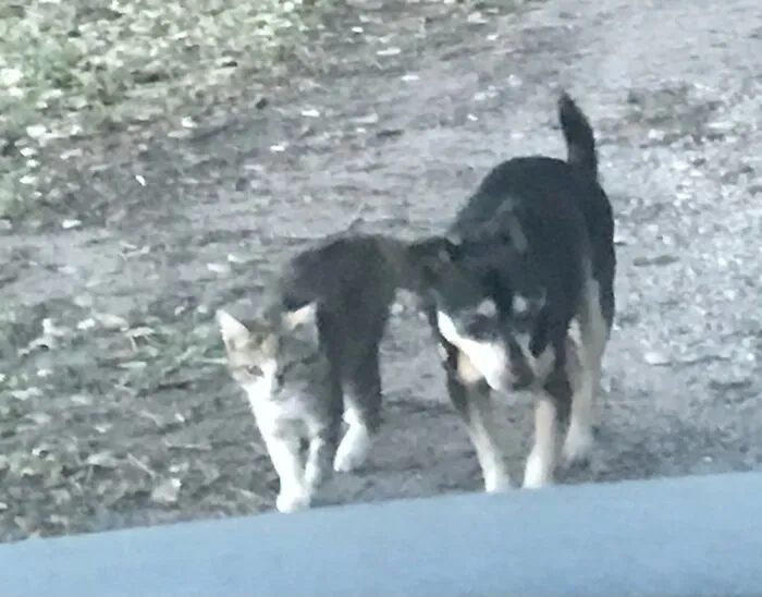 Best Buddies!