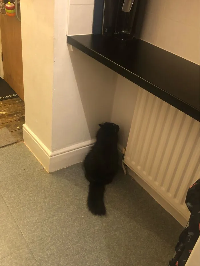 Put Herself In The Naughty Corner Maybe?