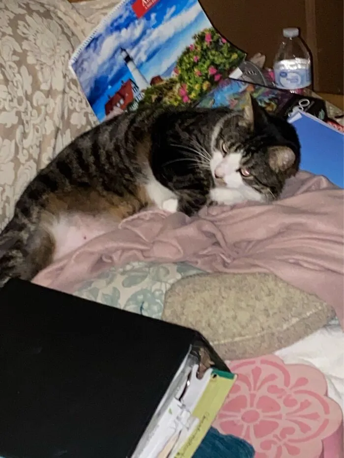 I Woke Him Up!