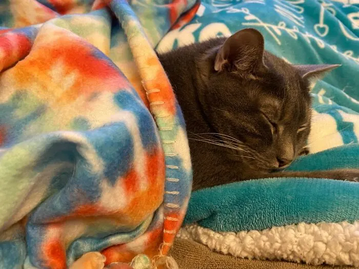 My Snoozy Thor.