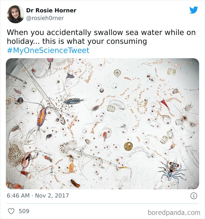 35 Scientists Share That "One Science Fact" They Wish The Whole World Would Know