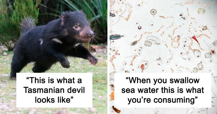 35 Scientists Share That "One Science Fact" They Wish The Whole World Would Know