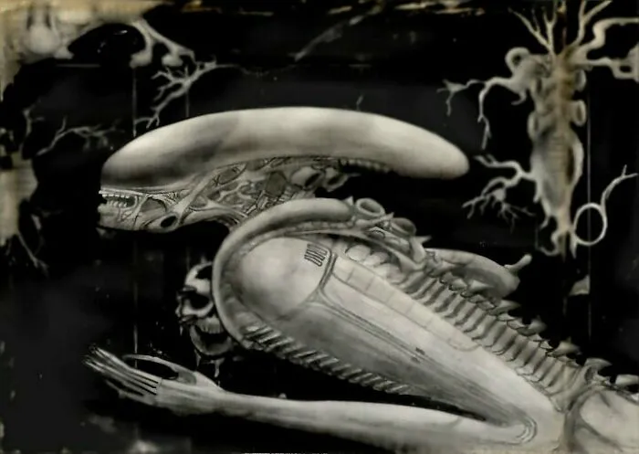 Xenomorph