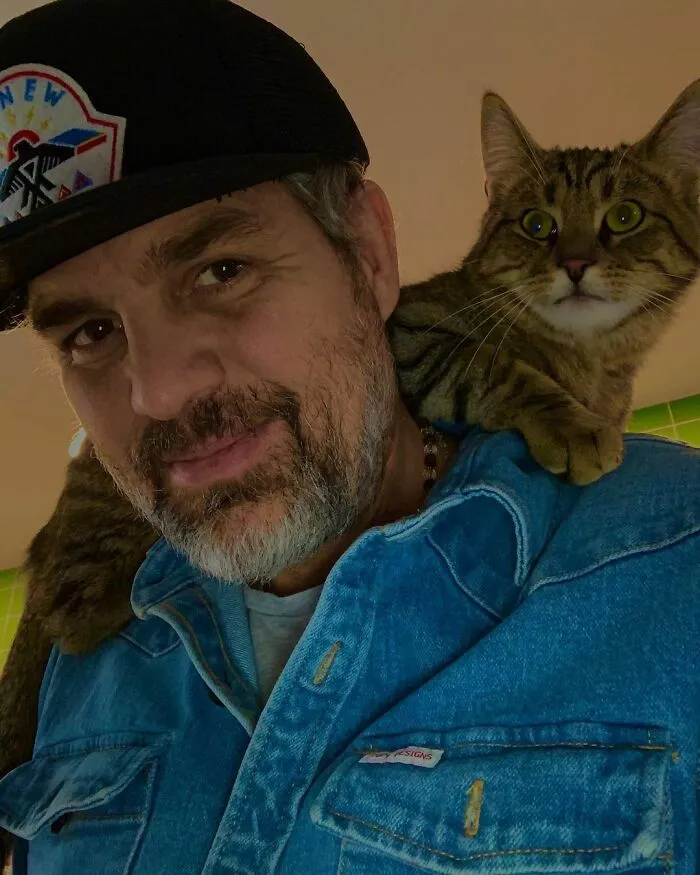 Mark Ruffalo