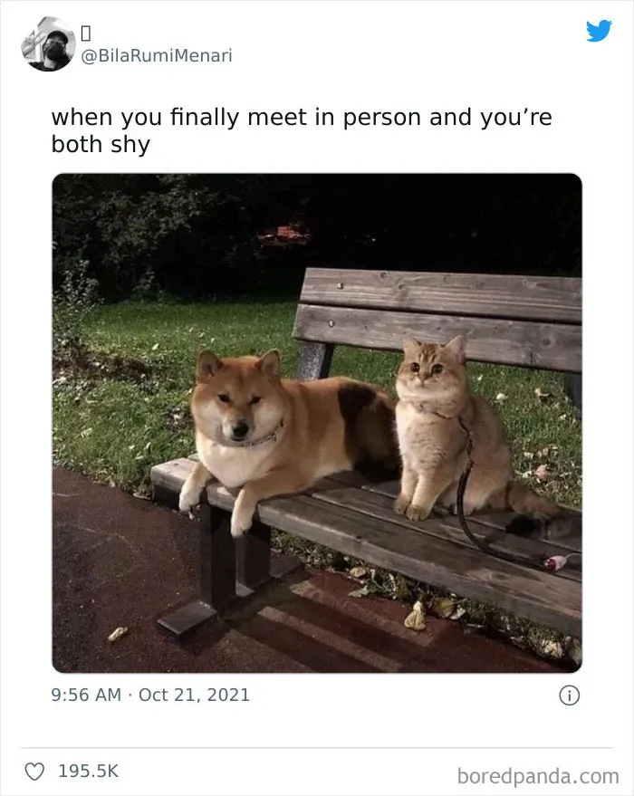 40 Funny And Relatable Memes Shared By The "Memes To Discuss In Therapy" Facebook Page
