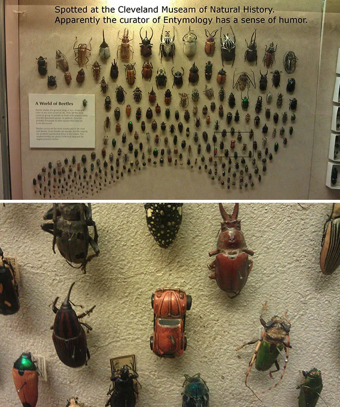 I Spotted This Today At The Cleveland Museum Of Natural History