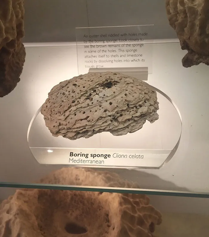 Found My Ex In The Natural History Museum