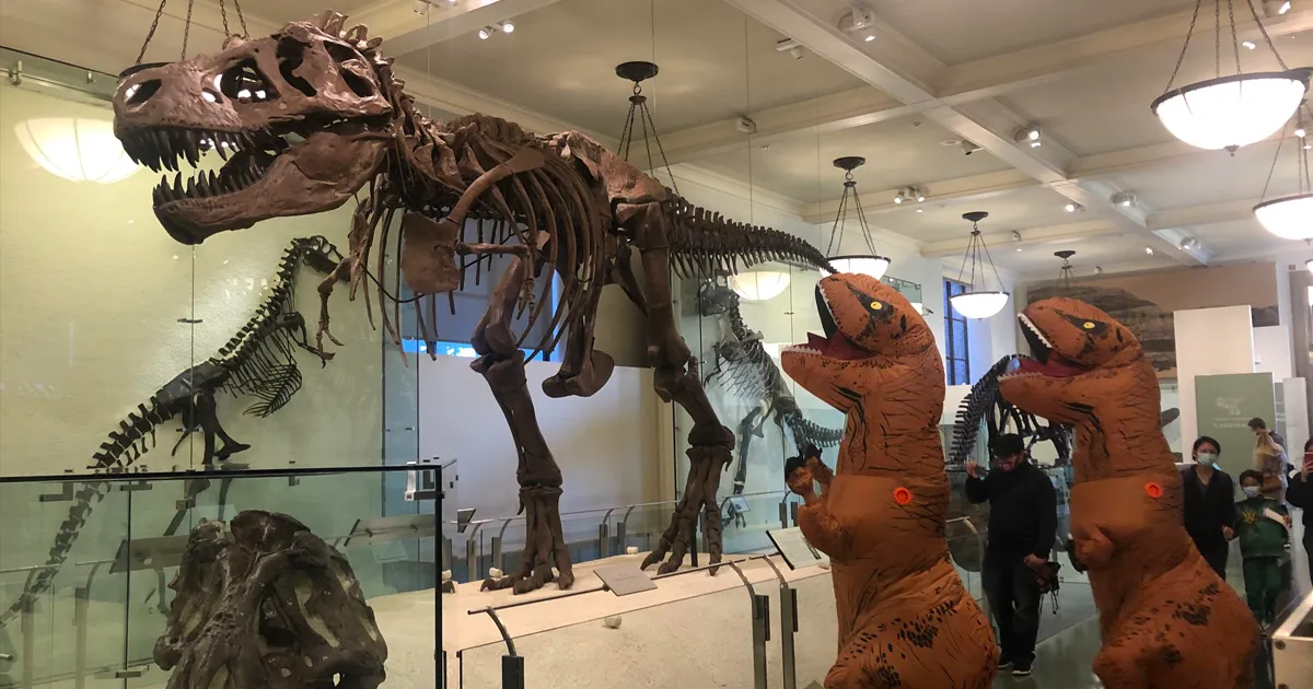 35 Adultos divirtiéndose en museos y galerías de arte