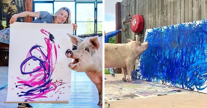 This Pig Enjoys Painting And Has Become The World's First Pig Artist
