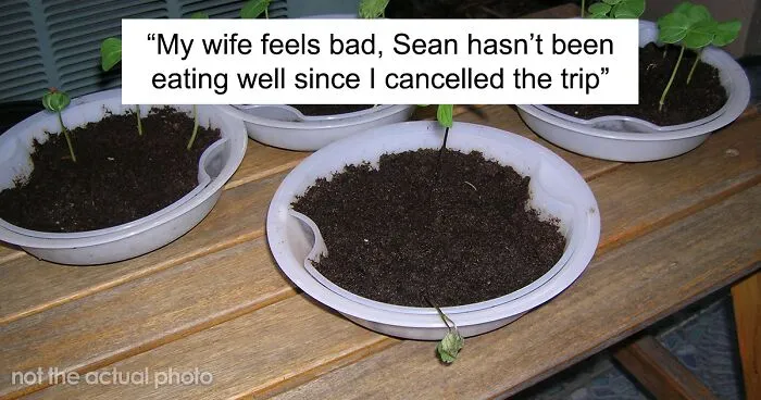 16 Y.O. Stepson Deliberately Waters His Stepdad’s Plants With Bleach, Stepdad Cancels Their Family Trip To Discipline Him