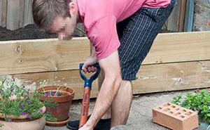 16 Y.O. Stepson Deliberately Waters His Stepdad’s Plants With Bleach, Stepdad Cancels Their Family Trip To Discipline Him