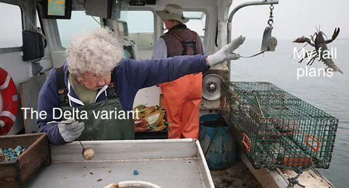 101 Y.O. Woman Is Photographed Throwing Away A Lobster Because It’s Too Small For Harvesting, And People Online Start Memeing It (30 Memes)