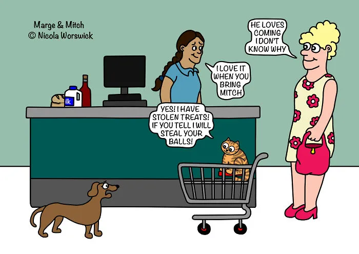 Cat Treats