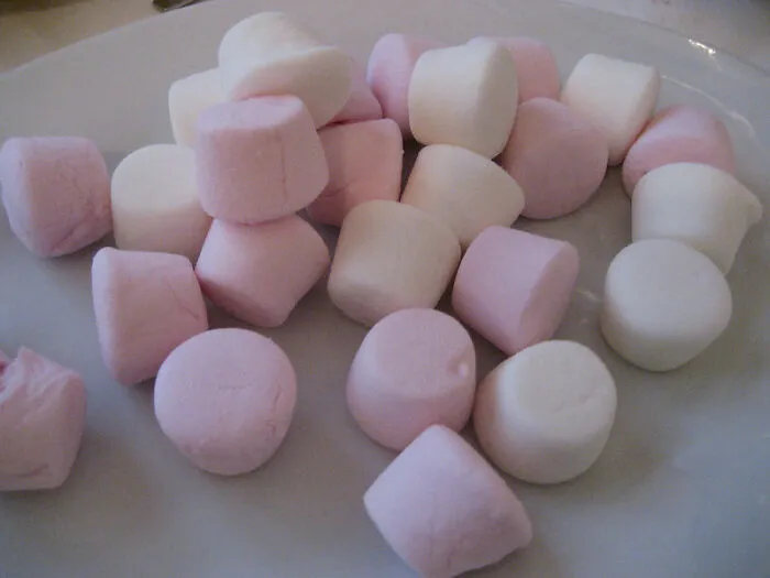 Eating Stale Marshmallows
