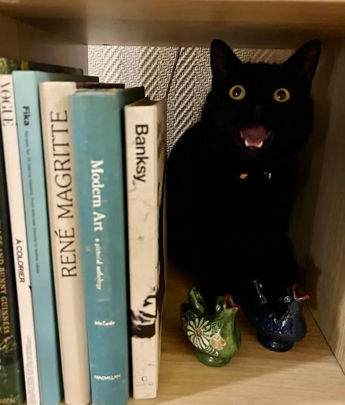 She Is Always So Surprised