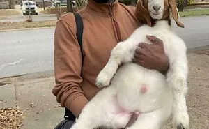 50 Uplifting Animal Pictures To Help You Get Through The Week