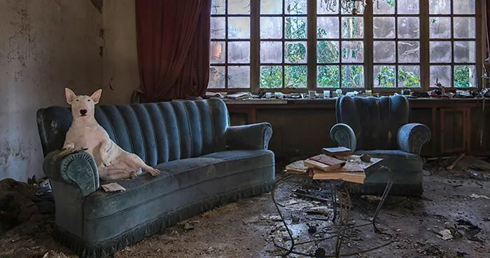 My Dog And I Explore Abandoned Places, And Here's What We Found So Far (30 New Pics)