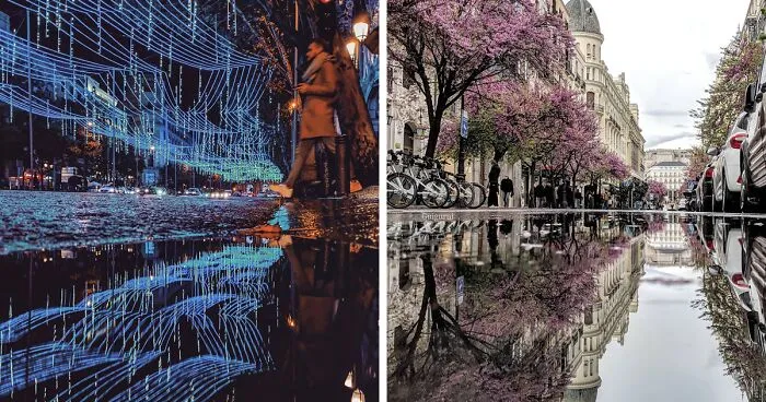 I Discover Hidden Parallel Worlds In Puddles And Other Reflections On My Smartphone (30 Pics)