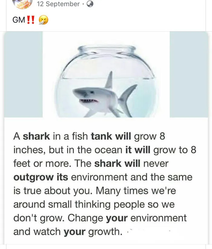 Little Sharks Because Biology Is Irrelevant