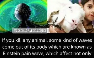 38 Of The Most 'Uneducated' Posts Ever Spotted In This Online Group