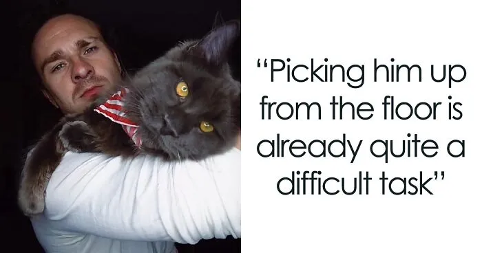 Meet Vincent, A Fluffy Maine Coon Cat That Looks Like A Black Panther And Acts Like A Dog