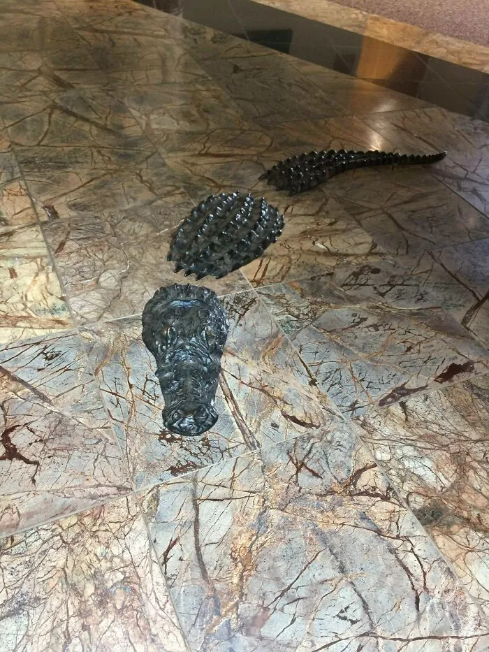 The Lobby Of This Medical Office Has An Alligator In The Floor