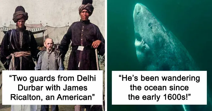 This Instagram Account Shares Lesser-Known Historical Facts, And Here Are 40 Of The Most Interesting Ones