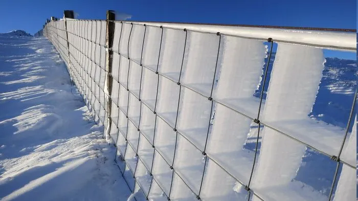 When Constant Winds And Ice Meet A Fence.