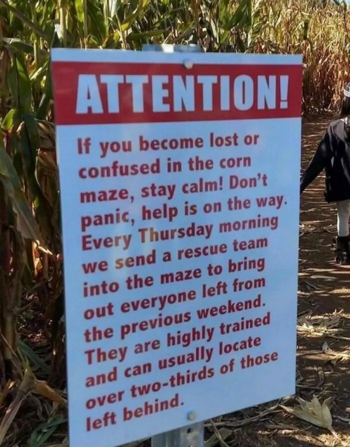 Corn Maze