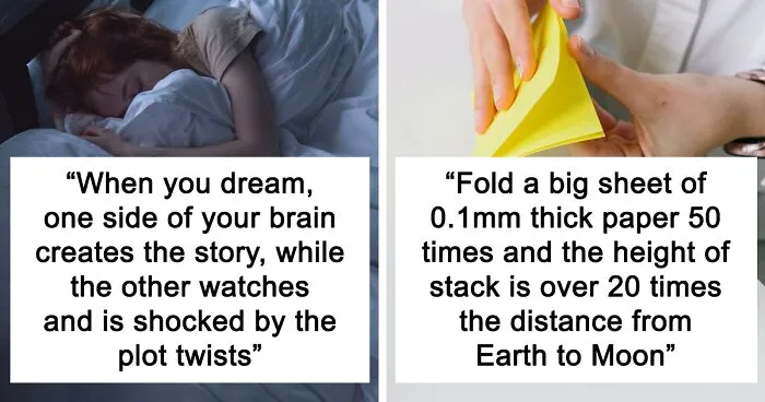 'What Is A Scientific Fact That Absolutely Blows Your Mind?': People Share 35 Incredible Facts About Our World