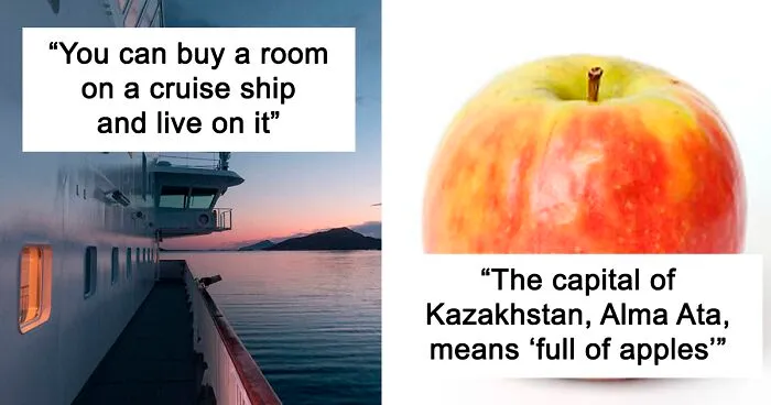 50 New ‘Today I Learned’ Facts That Prove It’s Never Too Late To Learn Something New