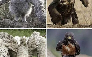 Deeply Unsettling: 50 Terrifying Pictures To Give You The Creeps